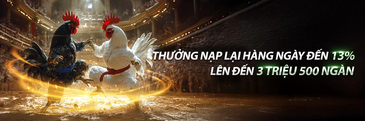 Trực tiếp đá gà C1 ô taxi kịch tính tại 999bet Win